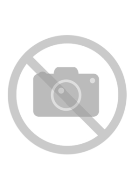 BRAKE SHOE 42*22 WITHOUT BUSHING WITH ROLLER