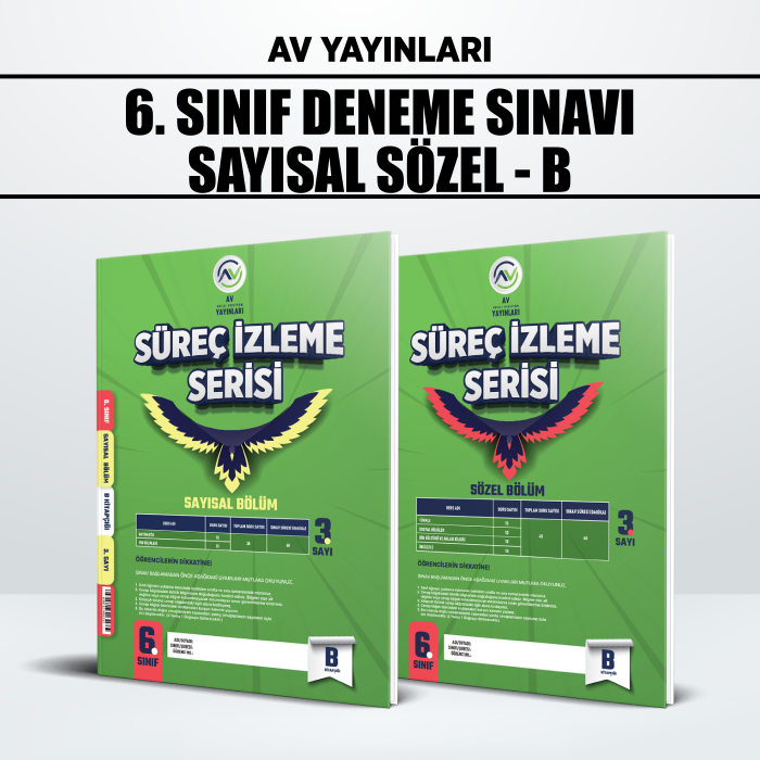 AV 06.SINIF SÜREÇ İZLEME (SİS) SAY/SÖZ 3-B -25-26
