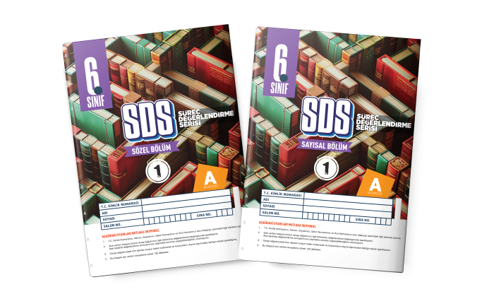 BES 06.SINIF SÜREÇ DEĞ. (SDS) SY/SZ 1-A - 25-26