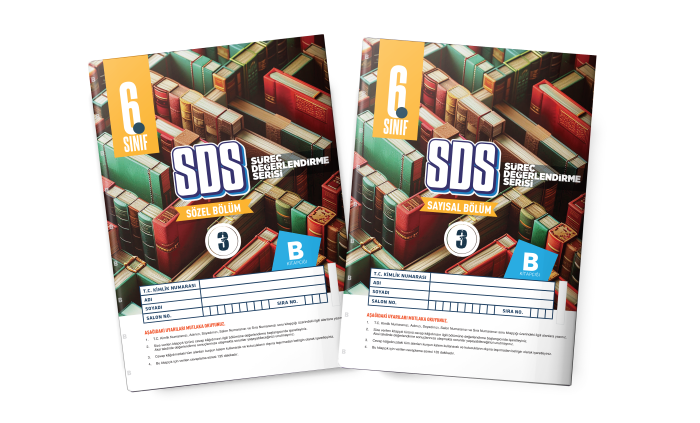 BES 06.SINIF SÜREÇ DEĞ. (SDS) SY/SZ 3-B - 25-26